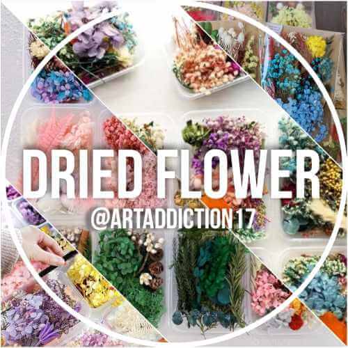 Dry Flowers for Resin Art & Crafting – Natural & Beautiful